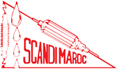 Scandi maroc Logo
